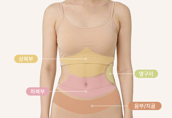 앞면부위