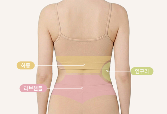 뒷면부위