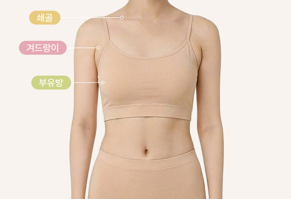 앞면부위