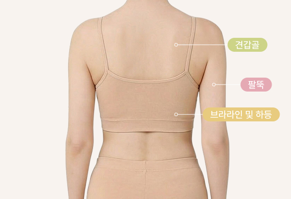 뒷면부위